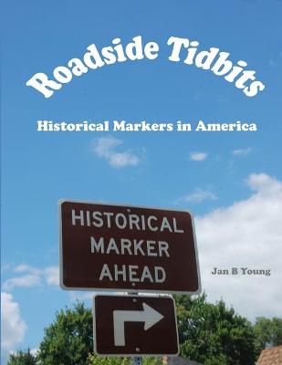 Book cover for Roadside Tidbits