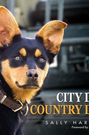 Cover of City Dog Country Dog