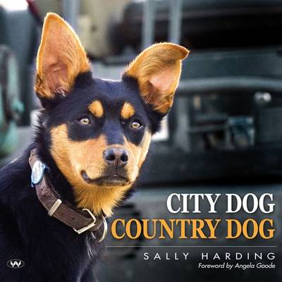 Book cover for City Dog Country Dog