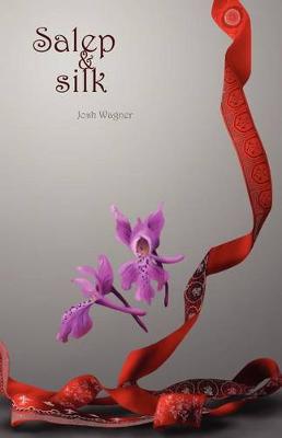 Book cover for Salep & Silk