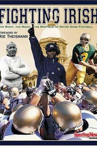 Cover of Fighting Irish