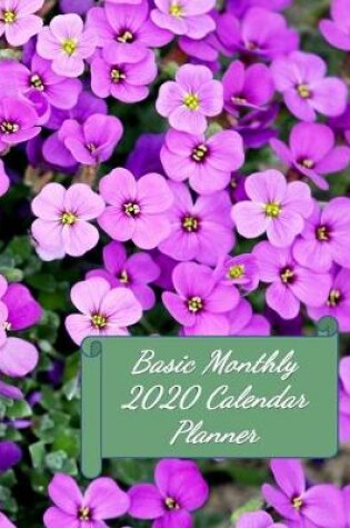 Cover of Basic Monthly 2020 Calendar Planner