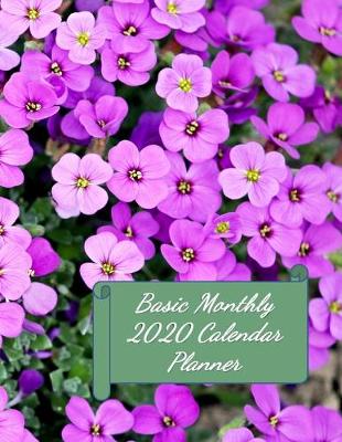 Book cover for Basic Monthly 2020 Calendar Planner
