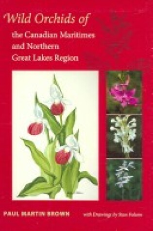 Cover of Wild Orchids of the Canadian Maritimes and Northern Great Lakes Region