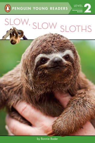 Cover of Slow, Slow Sloths