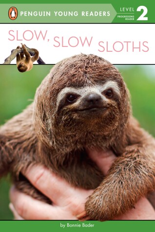 Book cover for Slow, Slow Sloths