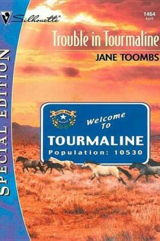 Cover of Trouble in Tourmaline