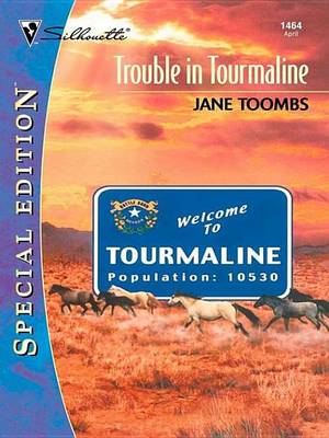 Book cover for Trouble in Tourmaline