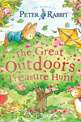 Cover of The Great Outdoors Treasure Hunt