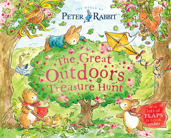 Book cover for The Great Outdoors Treasure Hunt