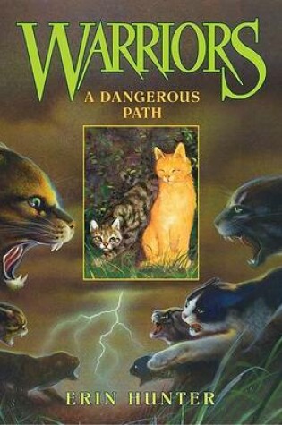 Cover of A Dangerous Path