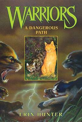 Book cover for A Dangerous Path