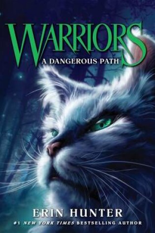 Cover of A Dangerous Path