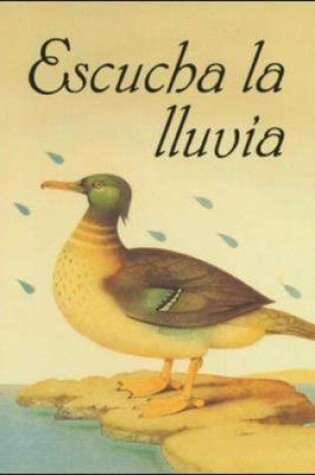 Cover of Listen to the Rain / Escucha la Lluvia