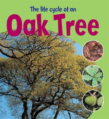 Book cover for Learning About Life Cycles: The Life Cycle of an Oak Tree