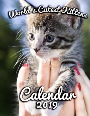 Book cover for World's Cutest Kittens Calendar 2019