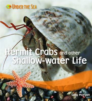 Book cover for Under the Sea - Hermit Crabs
