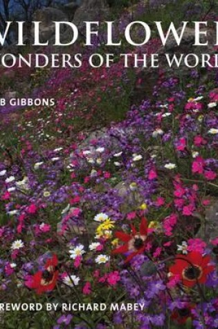 Cover of Wildflower Wonders