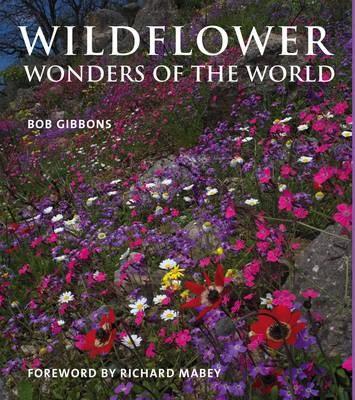 Book cover for Wildflower Wonders