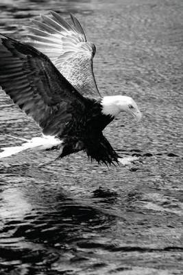 Book cover for Fishing Eagle in Black and White, Birds of the World