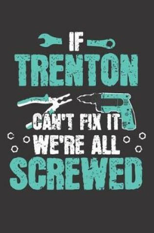 Cover of If TRENTON Can't Fix It