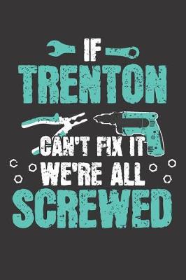 Book cover for If TRENTON Can't Fix It