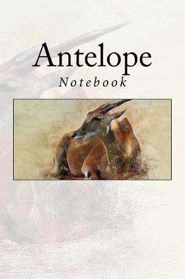 Book cover for Antelope