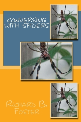 Book cover for Conversing With Spiders