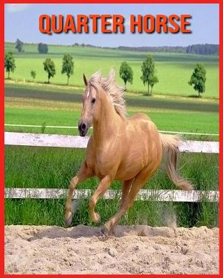 Book cover for Quarter Horse