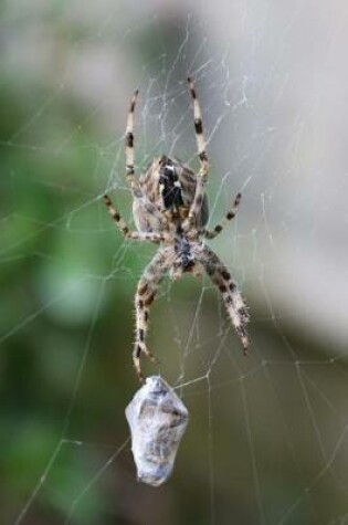 Cover of European Garden Spider (Araneus Diadematus) Journal