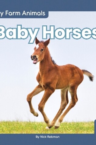 Cover of Baby Horses