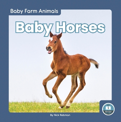 Book cover for Baby Horses