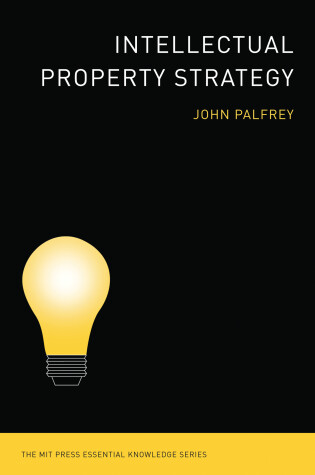 Cover of Intellectual Property Strategy