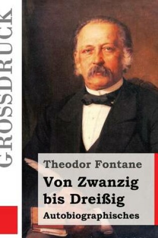 Cover of Von Zwanzig bis Dreißig (Großdruck)