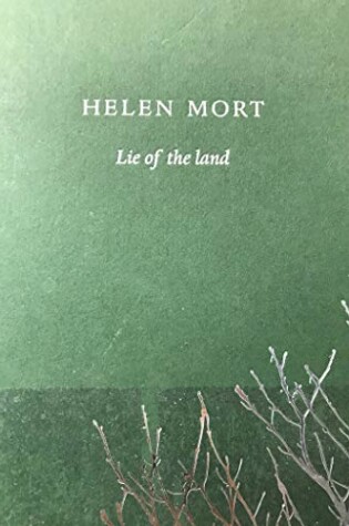 Cover of Lie of the Land