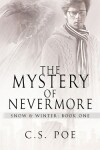 Book cover for The Mystery of Nevermore