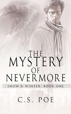 Book cover for The Mystery of Nevermore