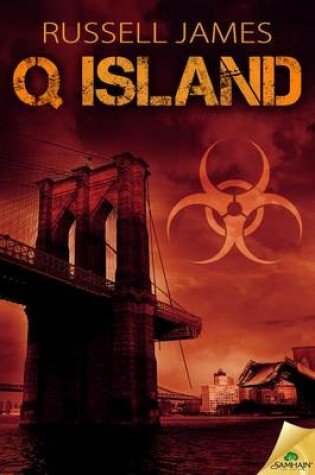 Cover of Q Island