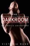 Book cover for The Dark Room