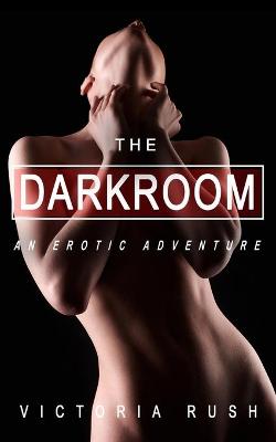 Book cover for The Dark Room