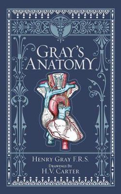 Book cover for Gray's Anatomy (Barnes & Noble Collectible Editions)