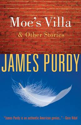 Book cover for Moe's Villa and Other Stories