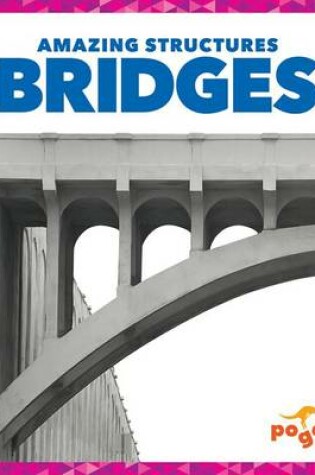 Cover of Bridges