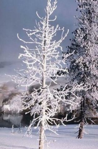 Cover of Journal Snow Covered Tree