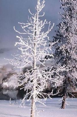 Cover of Journal Snow Covered Tree