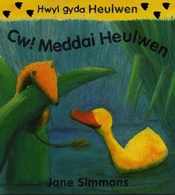 Book cover for Cyfres Hwyl gyda Heulwen: 3. Cw! Meddai Heulwen