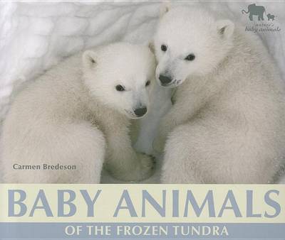 Book cover for Baby Animals of the Frozen Tundra