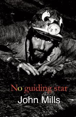 Book cover for No Guiding Star