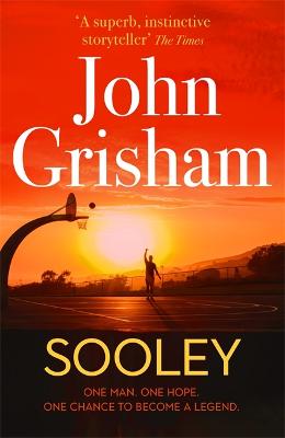 Book cover for Sooley