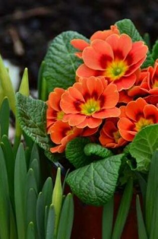 Cover of Primroses in the Garden Journal